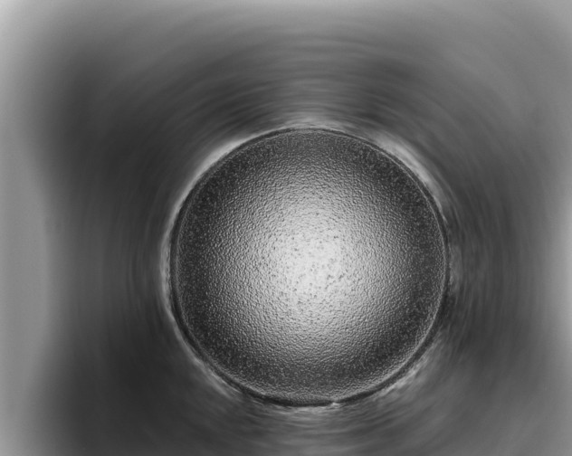 X0000095901048200801181242