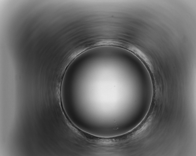 X0000095901049200801181242