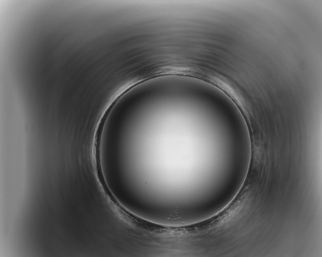 X0000095901050200801181242