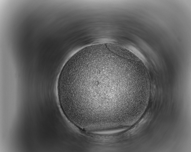 X0000095901055200801181242