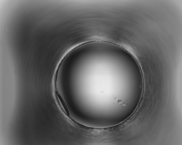 X0000095901056200801181242