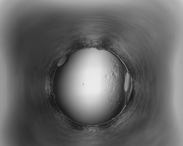 X0000095901058200801181241