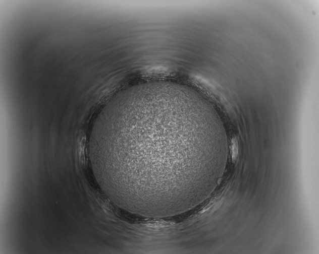 X0000095901059200801181241