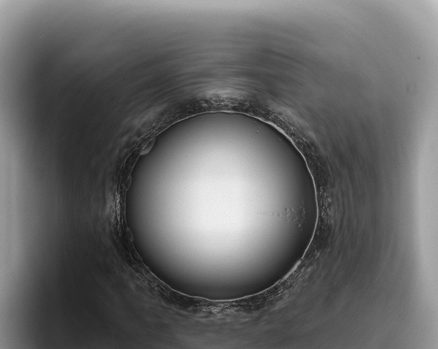 X0000095901061200801181241