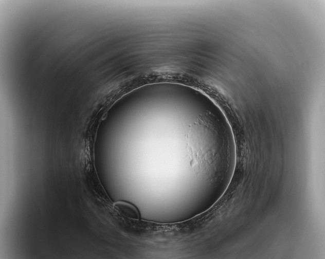 X0000095901062200801181241