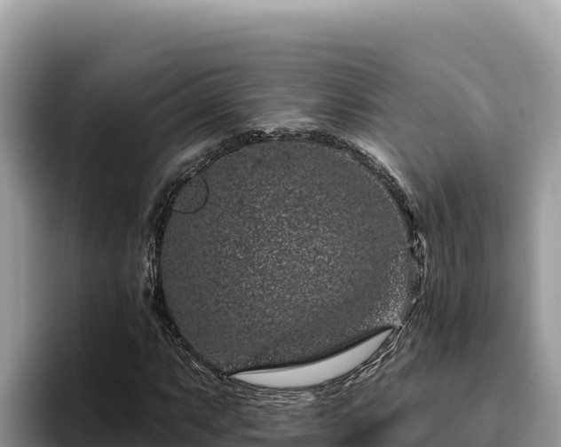 X0000095901063200801181241