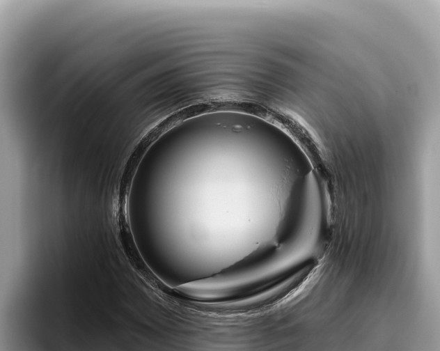 X0000095901065200801181241