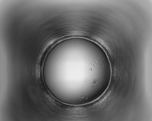 X0000095901067200801181241