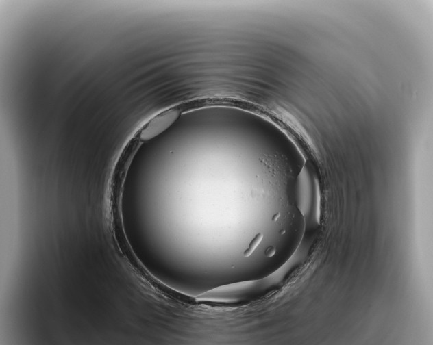 X0000095901068200801181241