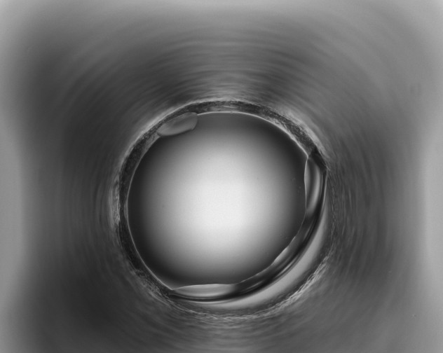 X0000095901069200801181241