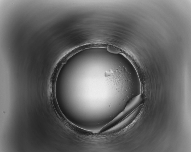 X0000095901070200801181241