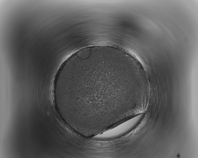 X0000095901071200801181241