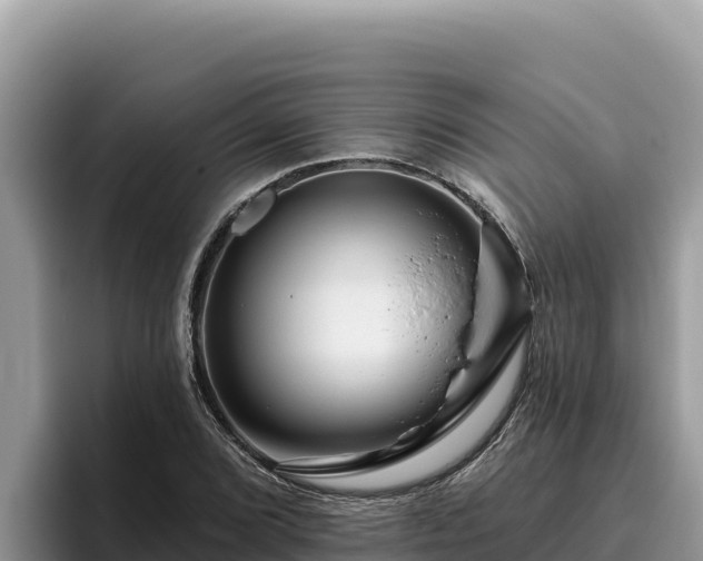 X0000095901072200801181241