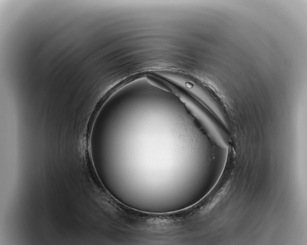 X0000095901073200801181241