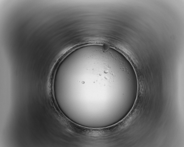 X0000095901074200801181241