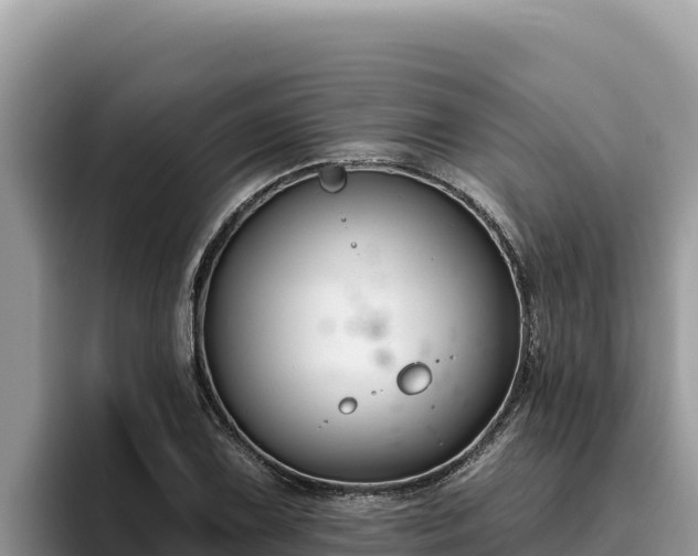 X0000095901075200801181241