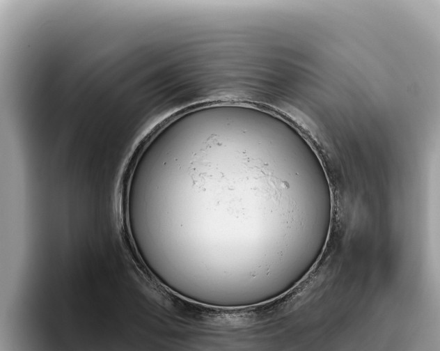 X0000095901078200801181241