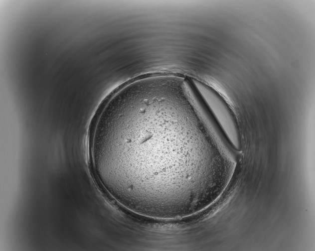 X0000095901079200801181241