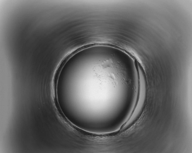 X0000095901080200801181241