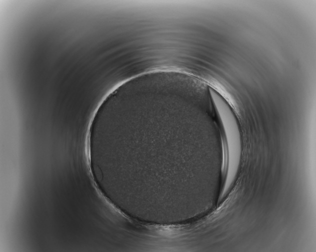 X0000095901084200801181241