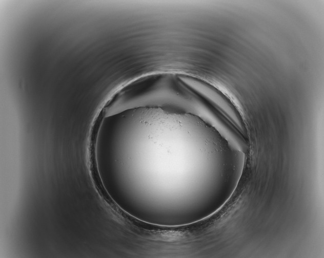 X0000095901085200801181241