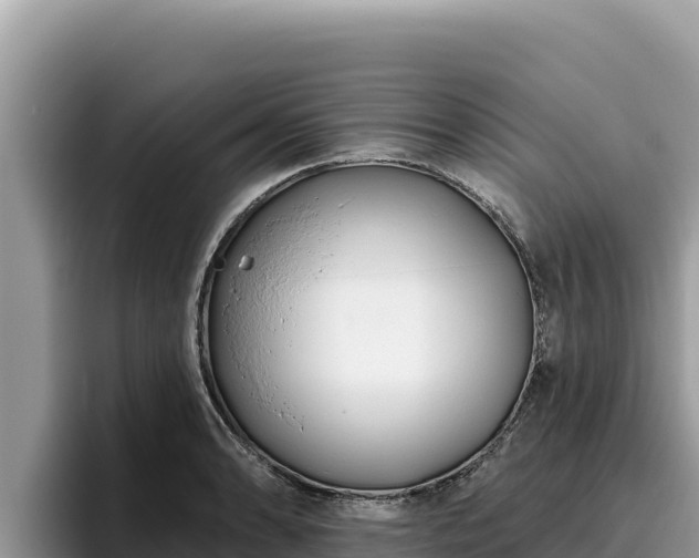 X0000095901086200801181241