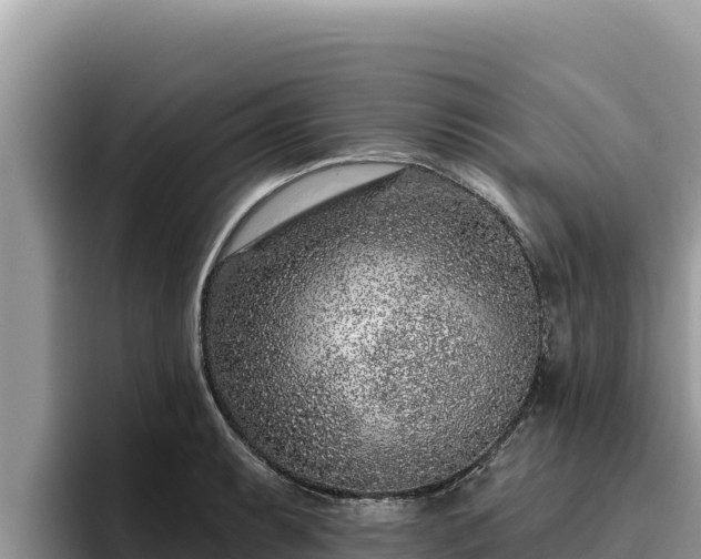 X0000095901087200801181241