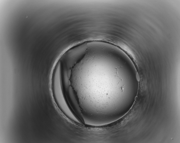 X0000095901088200801181241