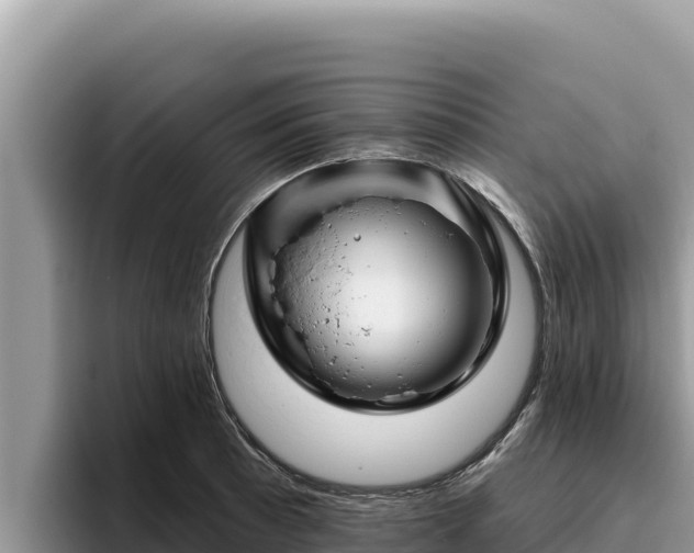 X0000095901089200801181241