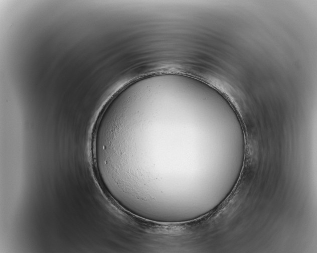 X0000095901090200801181241