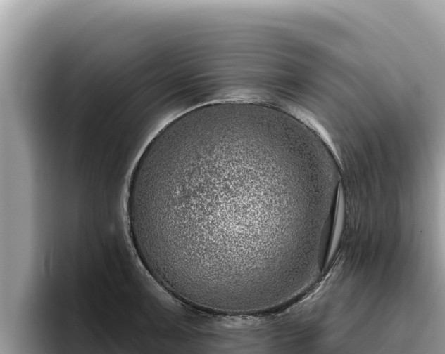 X0000095901091200801181241