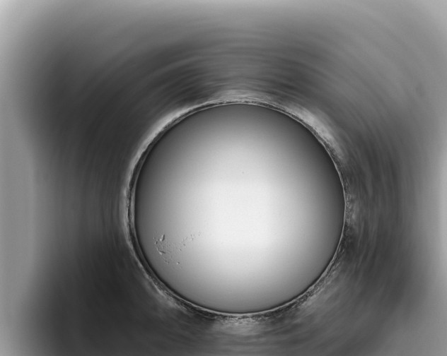 X0000095901094200801181241