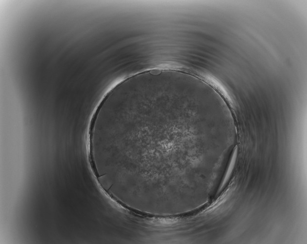 X0000095901095200801181241