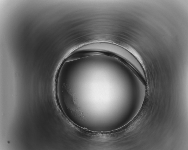 X0000095901096200801181241