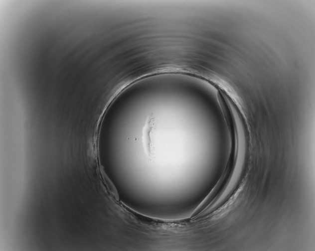 X0000095901097200801181241