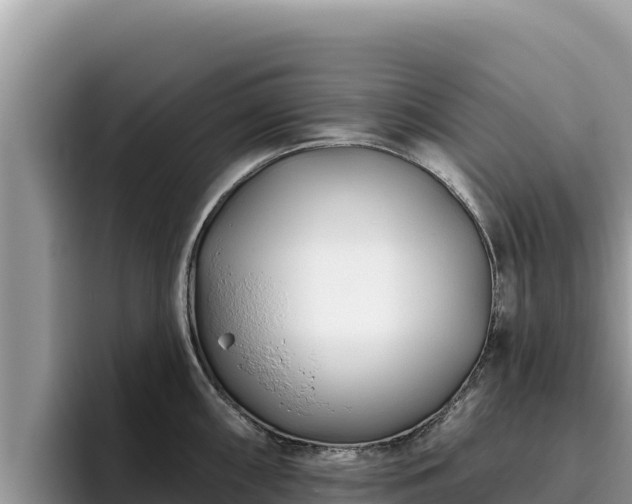 X0000095901098200801181241