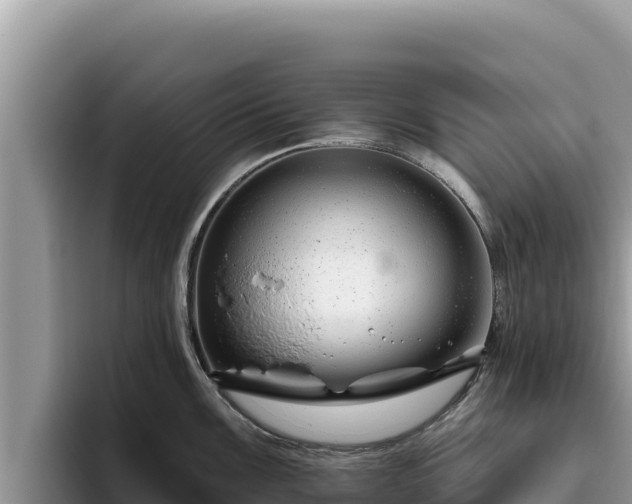 X0000095901099200801181241