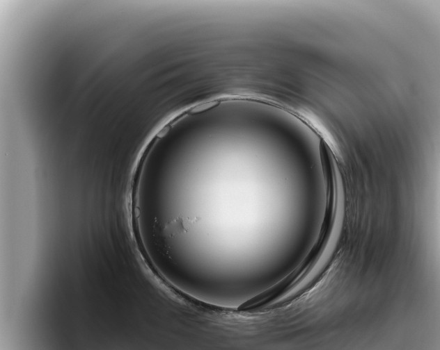 X0000095901100200801181241