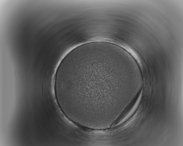 X0000095901102200801181241