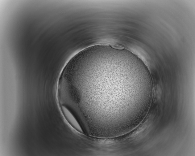 X0000095901103200801181241