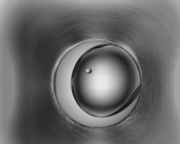 X0000095901104200801181241