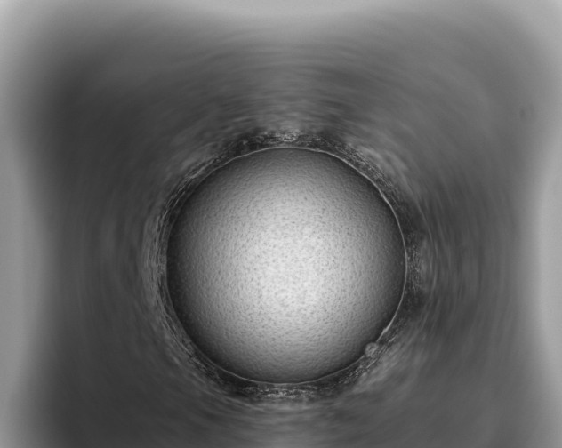 X0000095901105200801181240