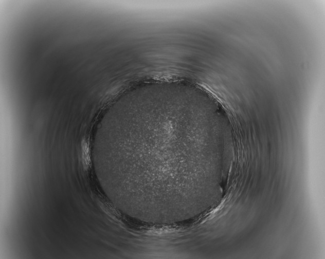 X0000095901106200801181240