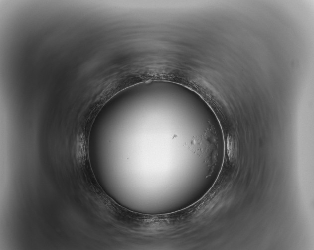 X0000095901107200801181240