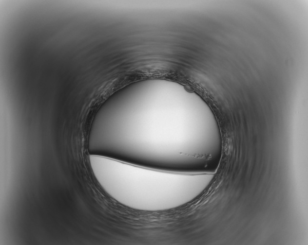 X0000095901108200801181240