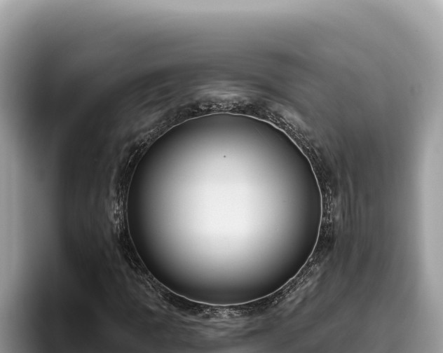 X0000095901109200801181240