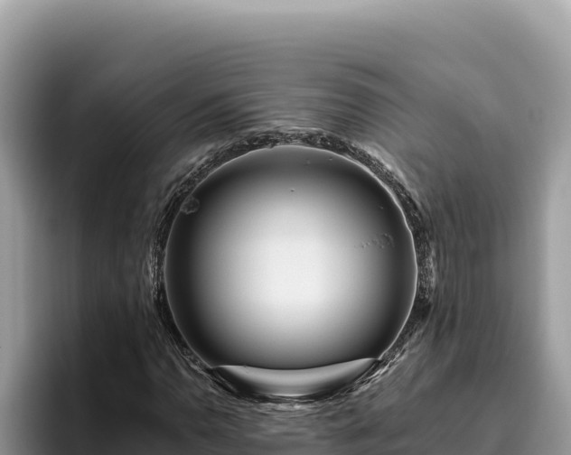 X0000095901110200801181240