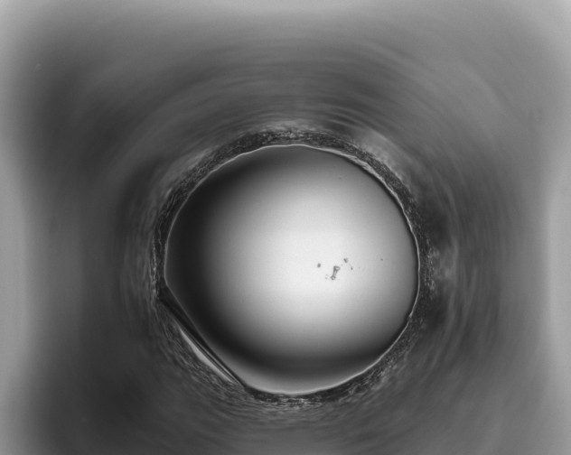 X0000095901111200801181240