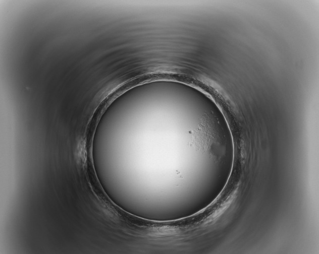 X0000095901113200801181240