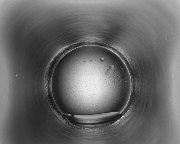 X0000095901115200801181240